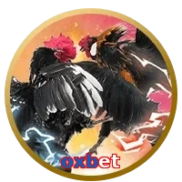 oxbet